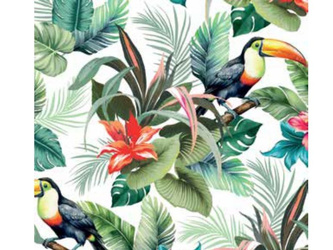 Cerata w Rolkach Fantastik 8303-1