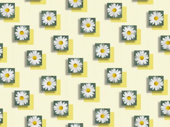 Cerata 140 Florista 01762-03 w Rolkach