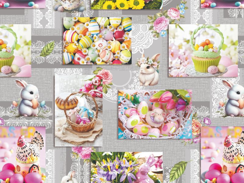 CERATA 140 Evolution WL M-82120C w Rolkach