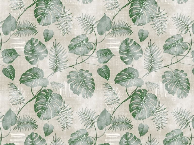 Cerata w Rolkach Fantastik 3024-1