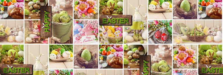 Cerata w Rolkach Fantastik 1091-1 WL