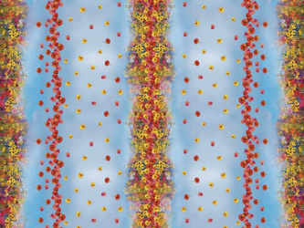 Cerata 140 Florista 01760-01 w Rolkach