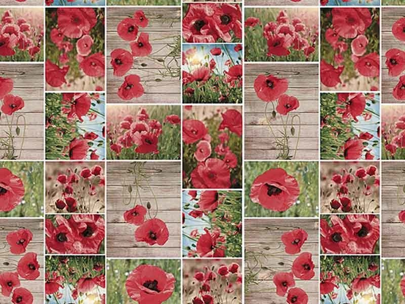 Cerata w Rolkach Florista 01404-01