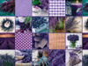 Florista 01309-00