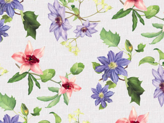 Cerata 140 Classico WF-6868A w Rolkach