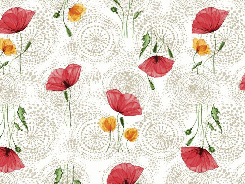 Cerata w Rolkach Fantastik 1226-1