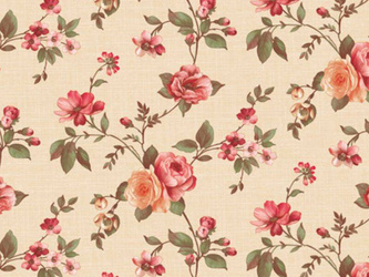 CERATA 140 Evolution M-8873A w Rolkach