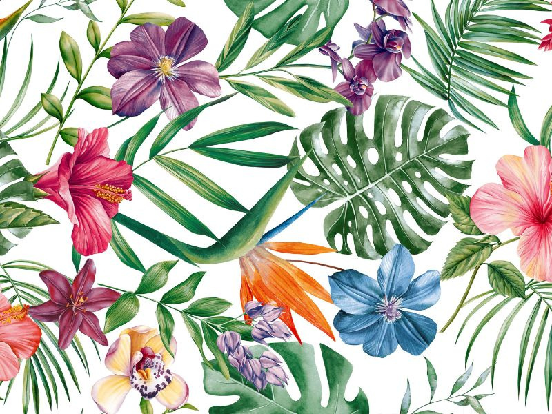 Cerata 140 Florista 01749-01 w Rolkach