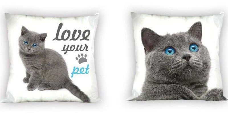 Poszewka Dwustronna Best Friends 006 Kotek 40x40 cm