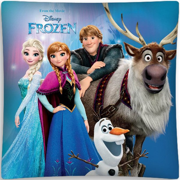 Poszewka 3D Frozen 07 40x40 cm