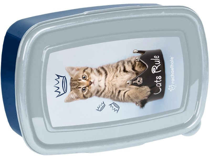 Szkolny Zestaw Śniadaniowy Lunchbox z Bidonem Rachaelhale Kot RHU-3022