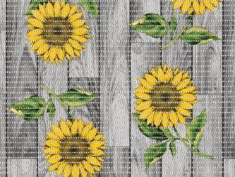 Mata Łazienkowa 65 Aqua Mat 4004-2 Rolka