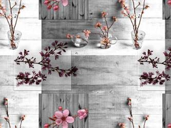 Cerata 140 Classico WF-4667D w Rolkach