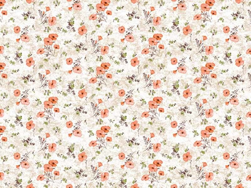 Cerata w Rolkach Florista 01363-03