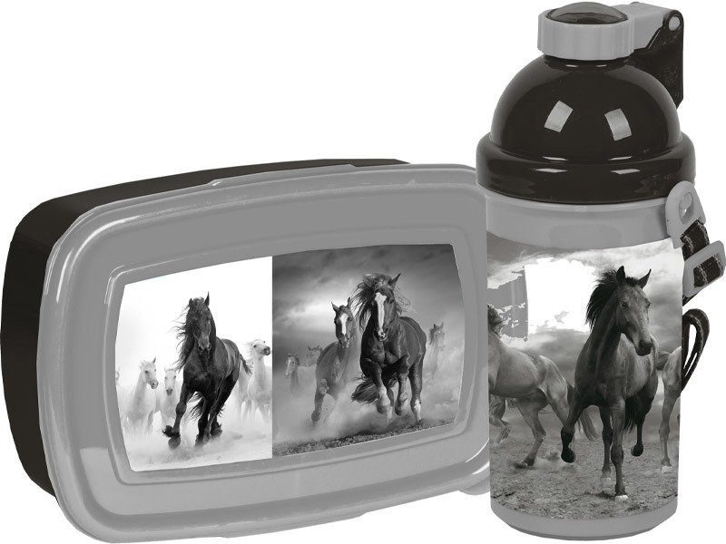 Szkolny Zestaw Śniadaniowy Lunchbox z Bidonem My Beautiful Horse 17-3022KO GR