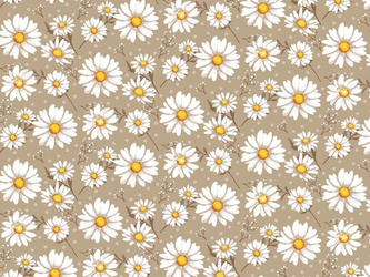 Cerata w Rolkach Fantastik 1257-2