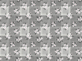 Cerata w Rolkach Fantastik 1217-5