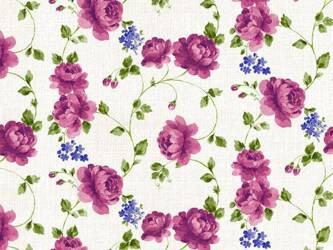 Cerata 140 w Rolkach Lario BW41