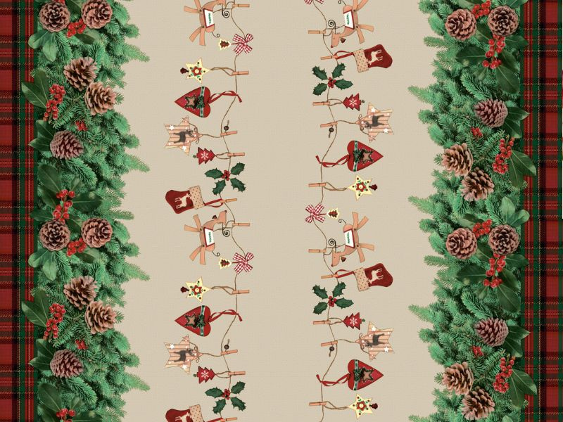 CERATA 140 Evolution BN M-82005A w Rolkach