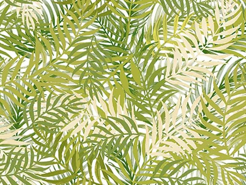 Cerata w Rolkach Florista 01335-01