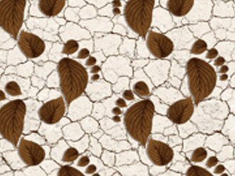 Mata Łazienkowa 65 Aqua Flex 6019-2 Rolka