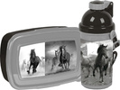 Szkolny Zestaw Śniadaniowy Lunchbox z Bidonem My Beautiful Horse 17-3022KO GR