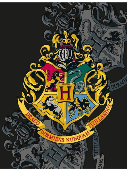 Koc Polarowy Harry Potter HP-8168FB