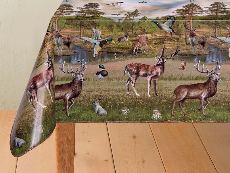 CERATA 140 Evolution M-82231A w Rolkach