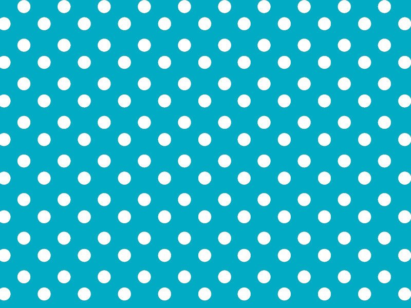 Cerata w Rolkach Florista 01150-19
