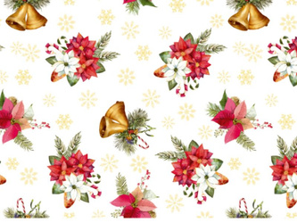 CERATA 140 Evolution BN M-81268B w Rolkach