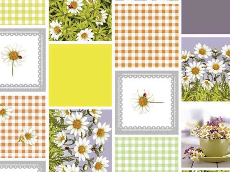 Cerata w Rolkach Florista 01308-03