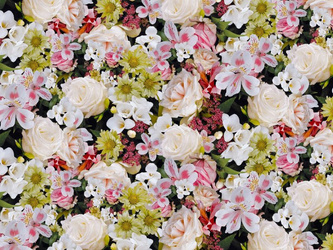 Cerata 140 Florista 01753-00 w Rolkach