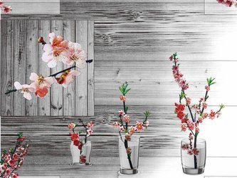 Cerata w Rolkach 140 Evolution BS-8184