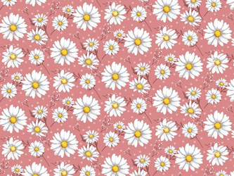 Cerata w Rolkach Fantastik 1257-3