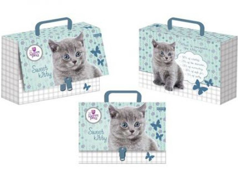 Teczka Szkolna A4 z Rączką The Sweet Pets Kot Kotek