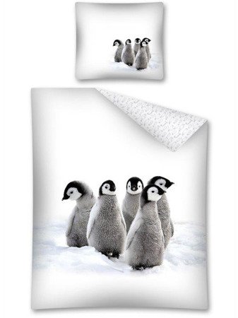 Pościel Bawełniana Pingwiny 2443