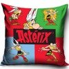 Poszewka Asterix i Obelix AST162004 40x40 cm